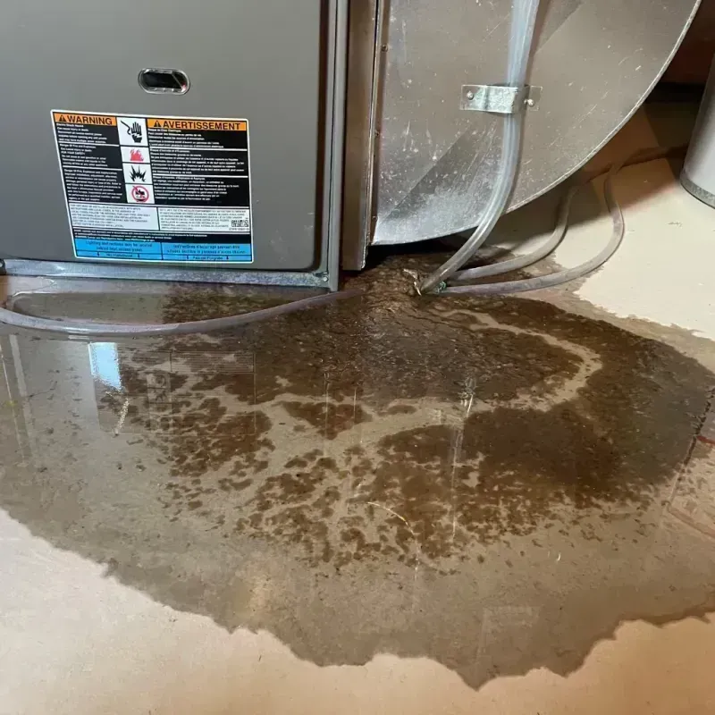 Appliance Leak Cleanup in Newell, WV